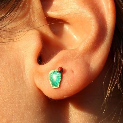 Brass jewelry - prickly pears earrings